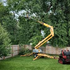 Best Artificial Turf Installation  in Mcloud, OK