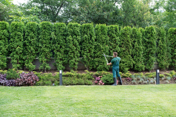 Best Lawn Grading and Leveling  in Mcloud, OK
