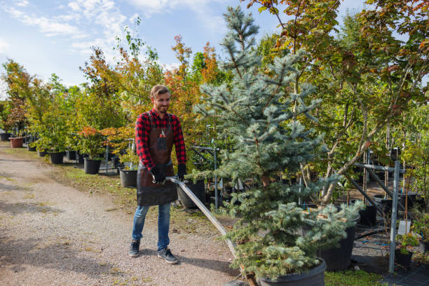 Best Commercial Tree Services  in Mcloud, OK