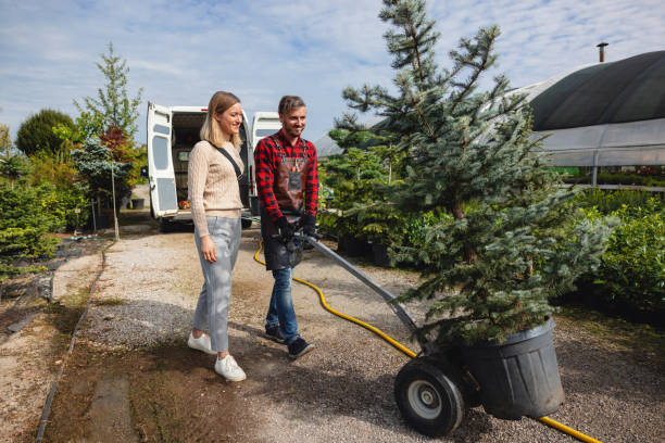 Reliable Mcloud, OK Tree Services Solutions