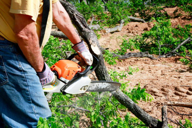 Best Lawn Drainage Solutions  in Mcloud, OK